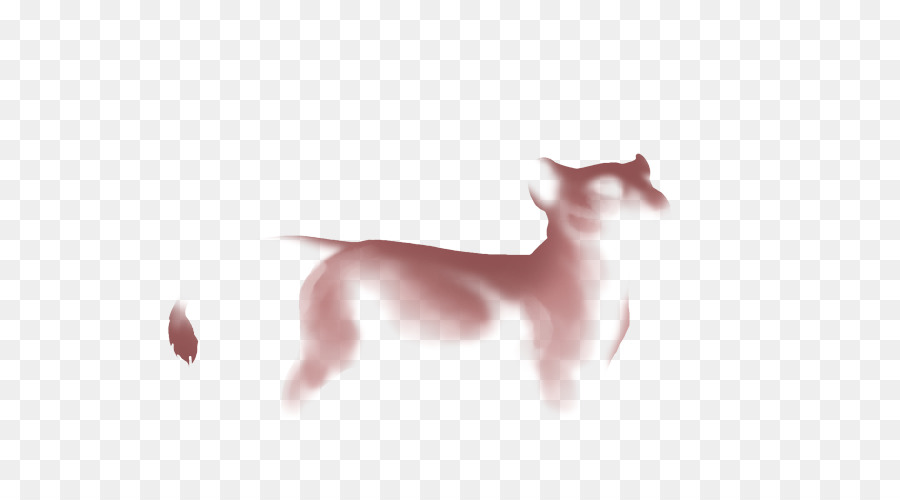 Kucing，Greyhound Italia PNG