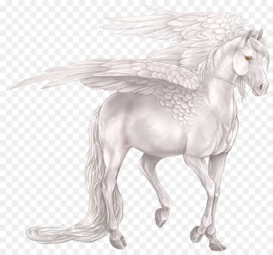 Pegasus，Unicorn PNG