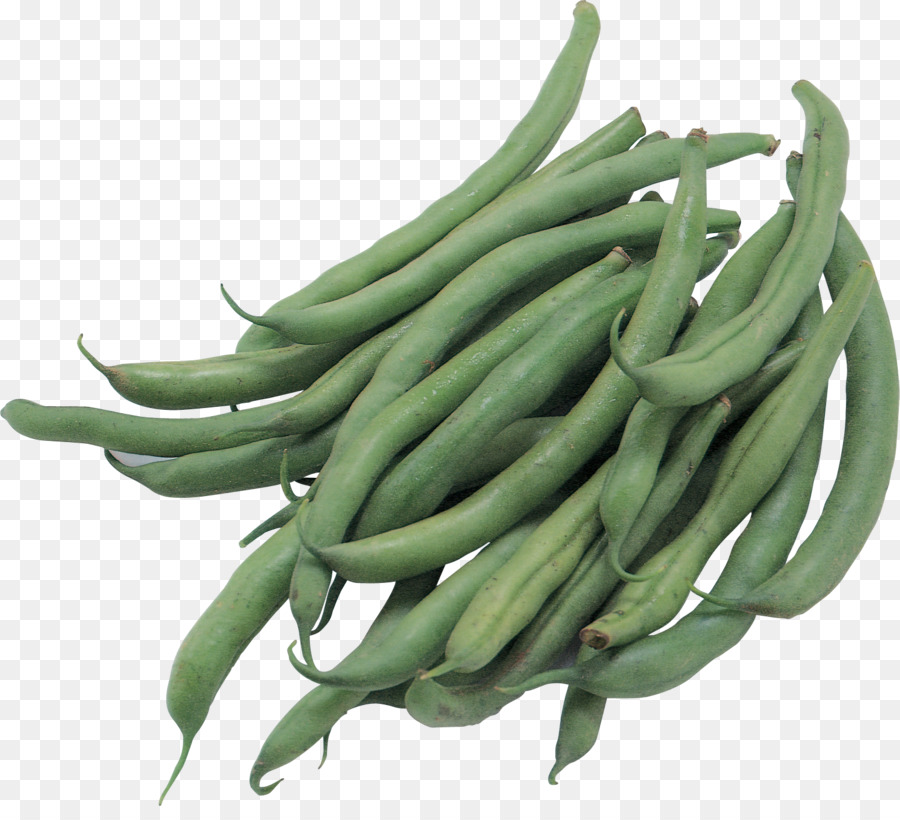 Okra，Hijau PNG