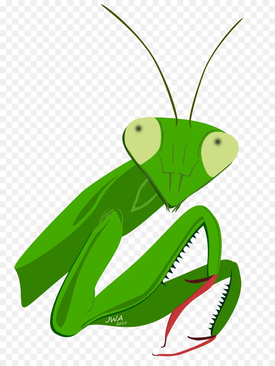 Mantis，Serangga PNG