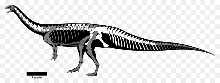 Kerangka Dinosaurus，Fosil PNG