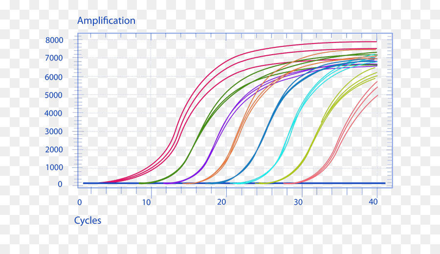 Grafik Amplifikasi，Pcr PNG