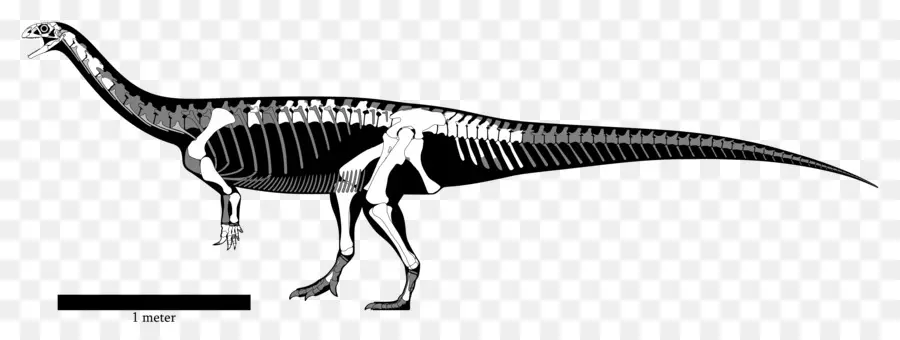 Kerangka Dinosaurus，Prasejarah PNG