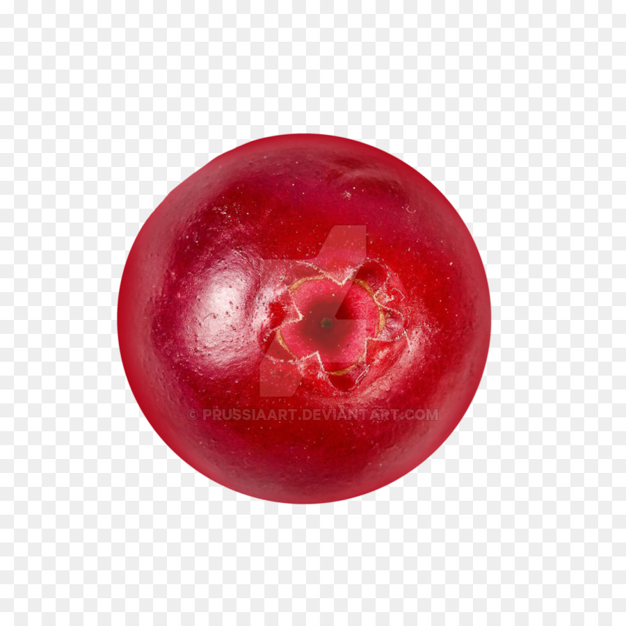 Cranberry，Buah PNG