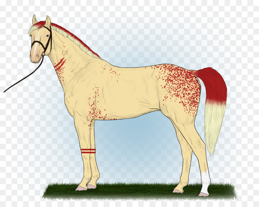 Mustang，Kuda PNG