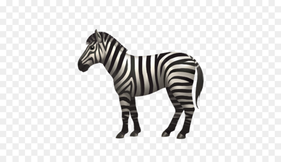 Zebra Berwarna Warni，Garis Garis PNG