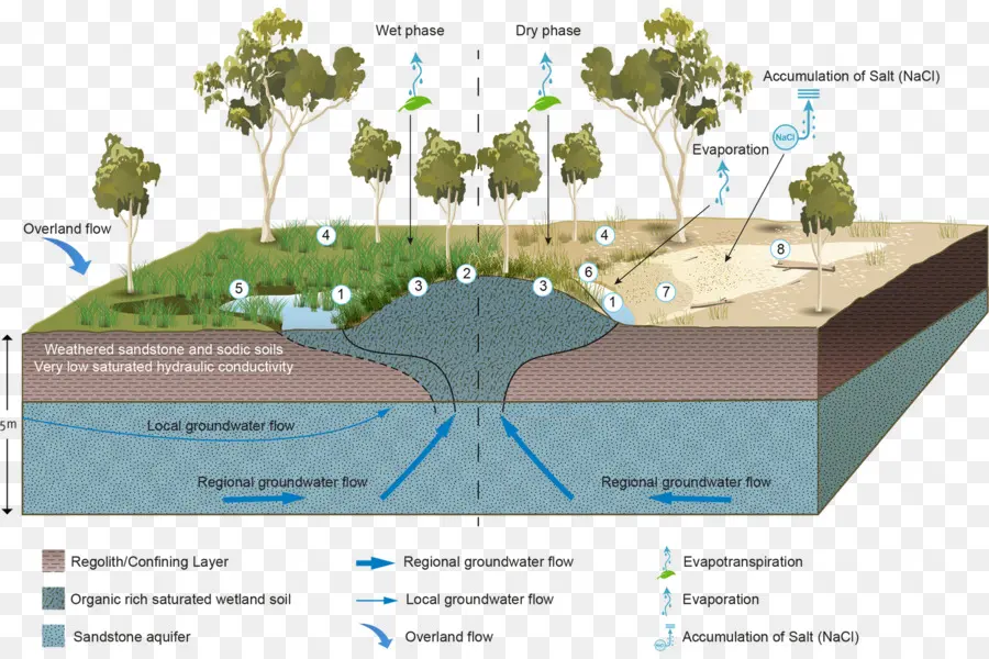 Diagram Aliran Air Tanah，Lahan Basah PNG