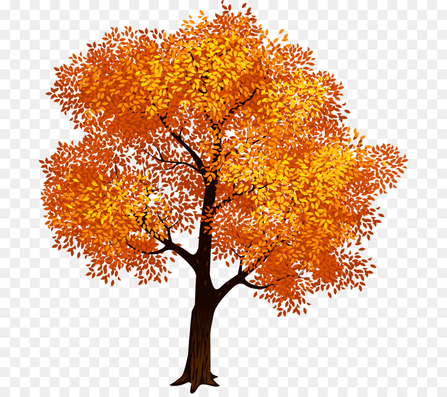 Pohon，Oak Inggris PNG