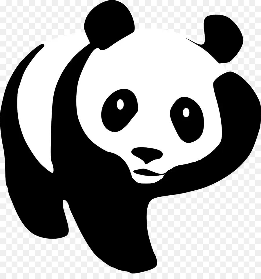 Panda Raksasa，Beruang PNG