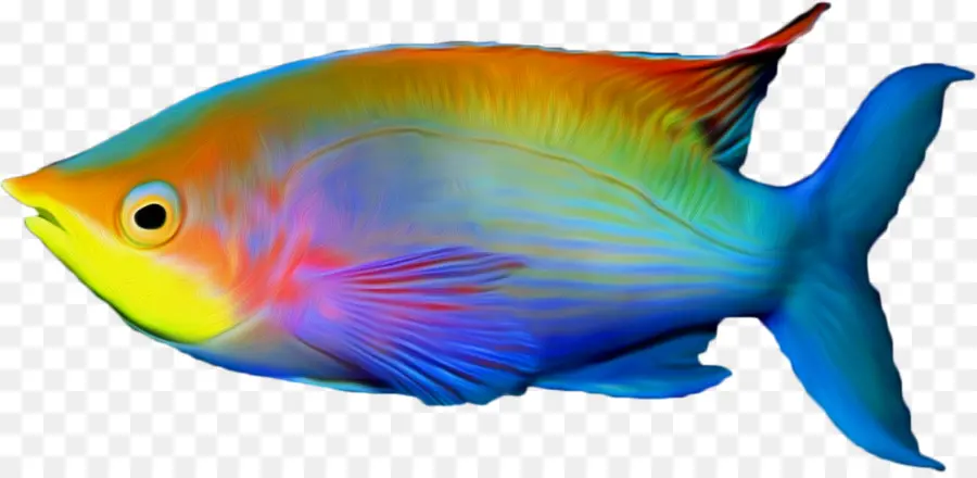 Ikan，Akuatik PNG