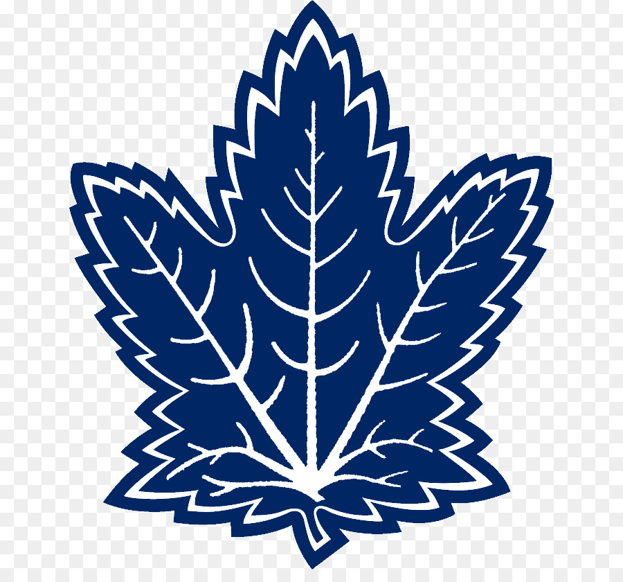 Daun Biru，Maple PNG