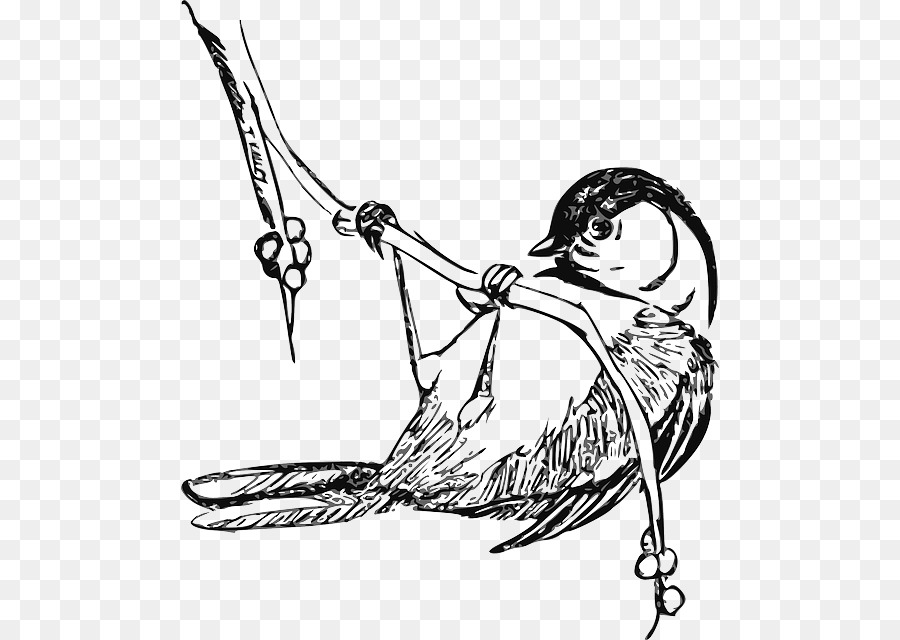 Blackcapped Chickadee，Gambar PNG