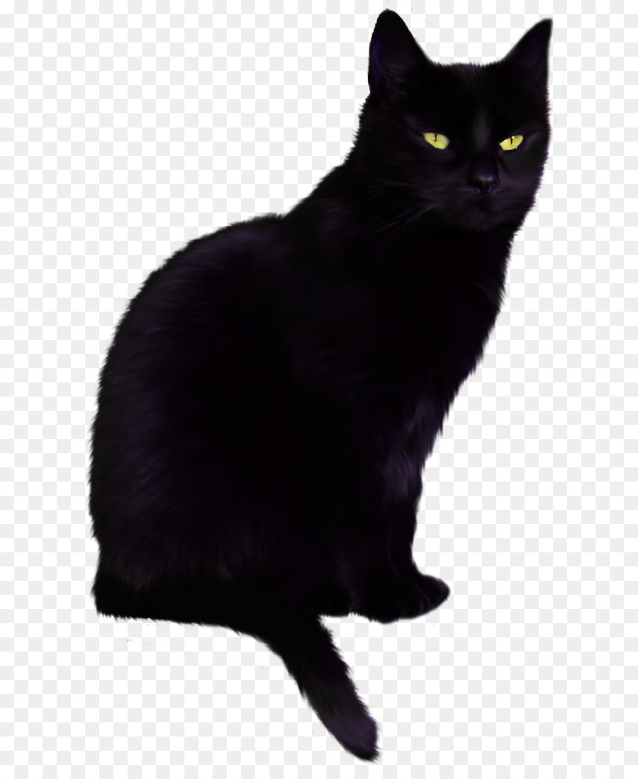 Kucing Hitam，Bulu PNG