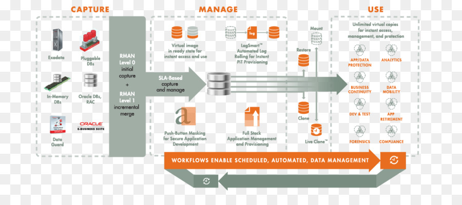 Manajemen Data，Database PNG