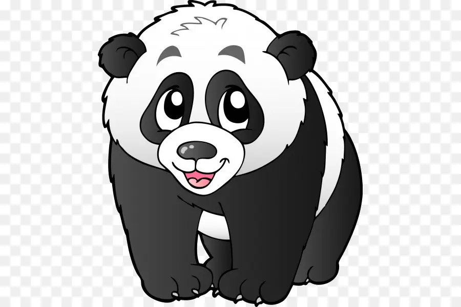 Panda，Beruang PNG