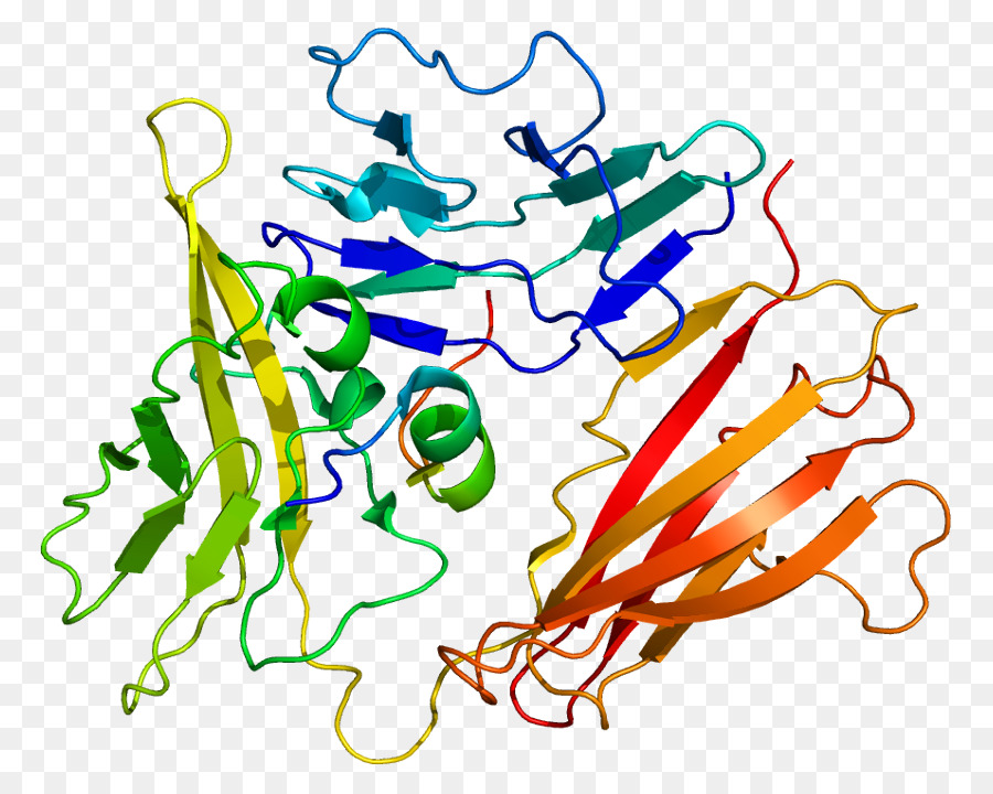 Keluarga Interleukin1，Interleukin 1 Receptor Type I PNG