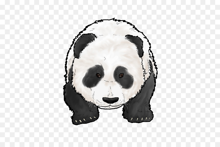 Panda，Hitam Dan Putih PNG