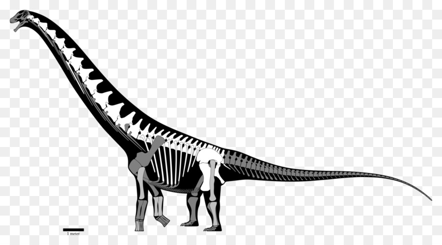 Futalognkosaurus，Kapur Akhir PNG