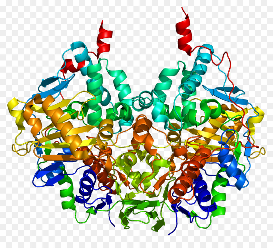 Struktur Protein，Molekul PNG