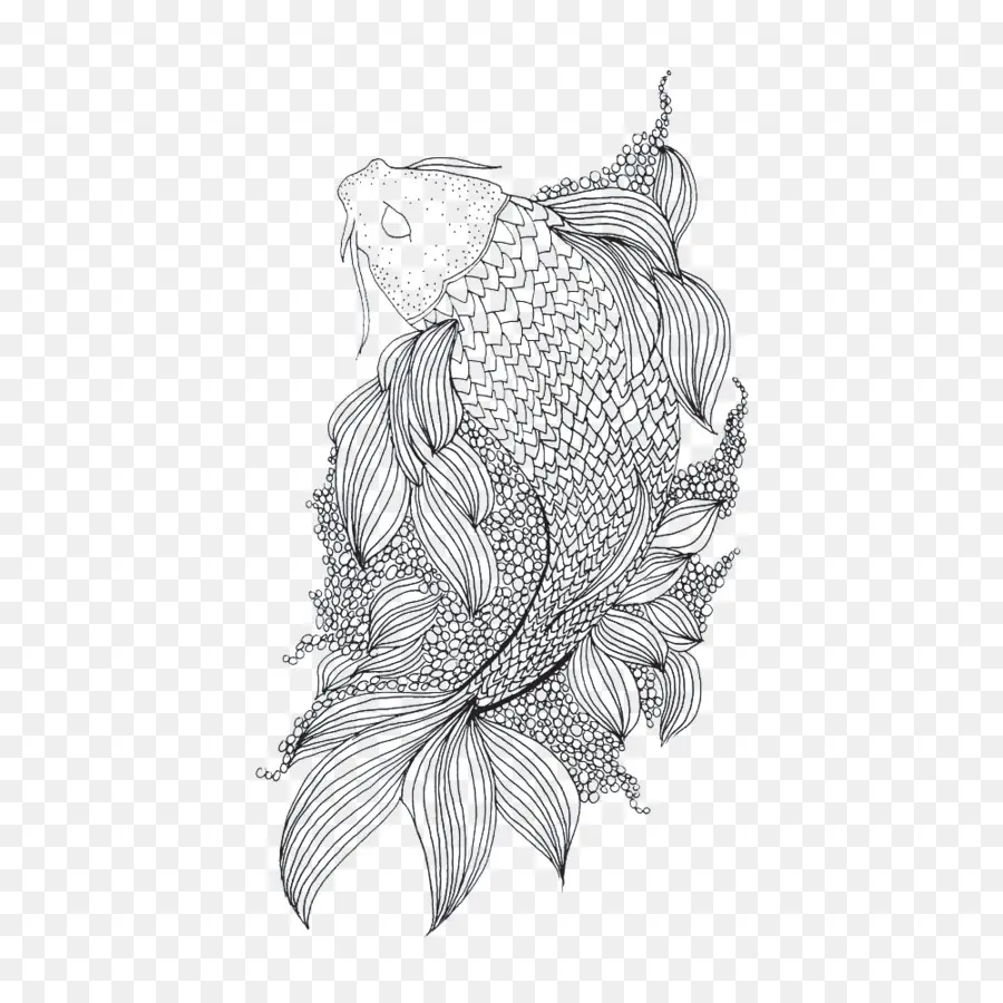 Ikan，Koi PNG