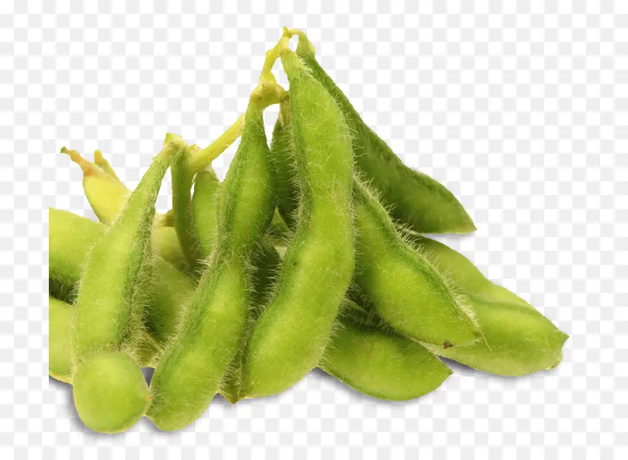 Edamame，Kedelai PNG