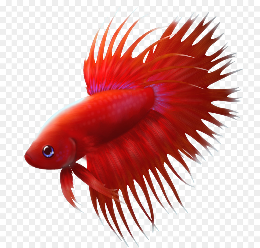 Ikan Merah，Akuatik PNG