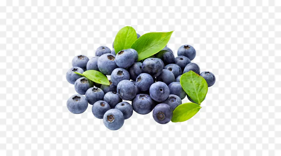 Blueberry，Buah Beri PNG