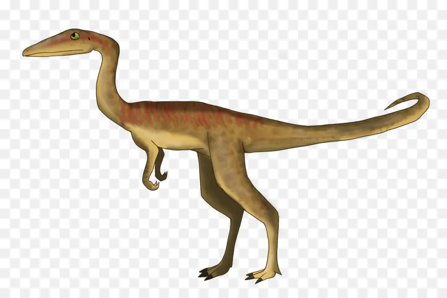 Dinosaurus，Prasejarah PNG