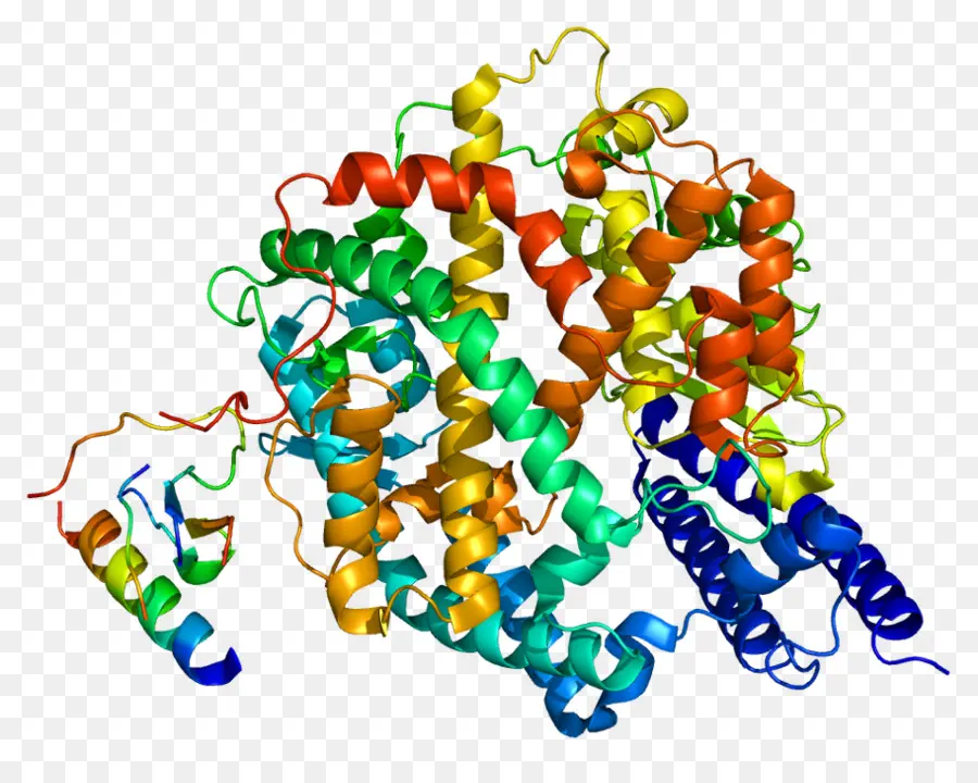 Ace Inhibitor，Angiotensinconverting Enzyme PNG