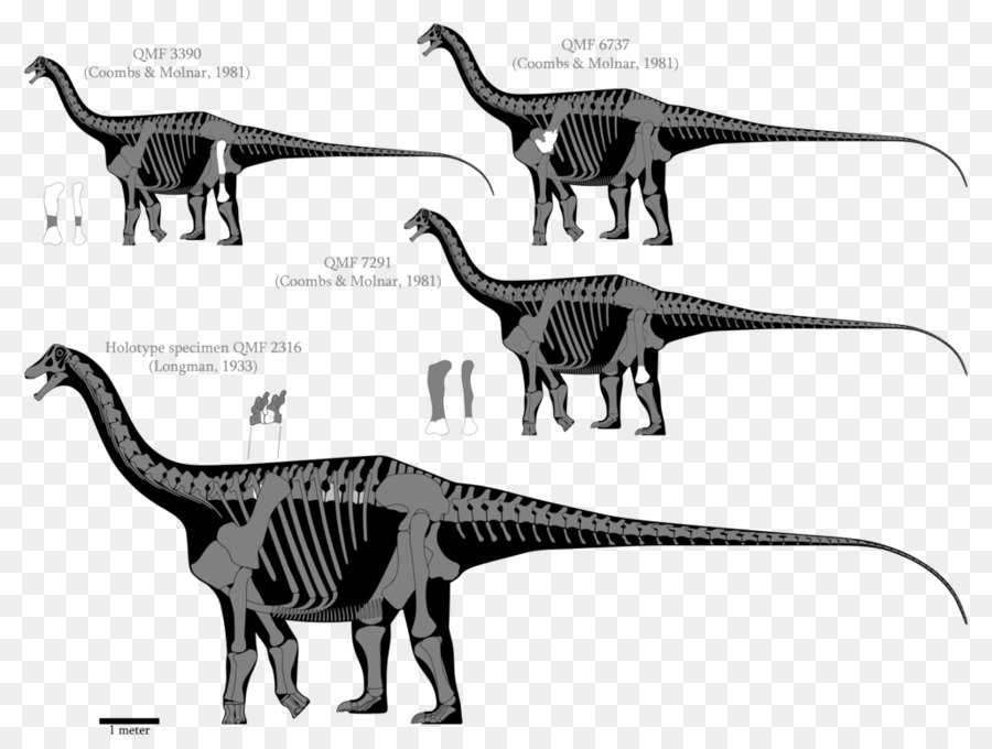 Austrosaurus，Dinosaurus PNG