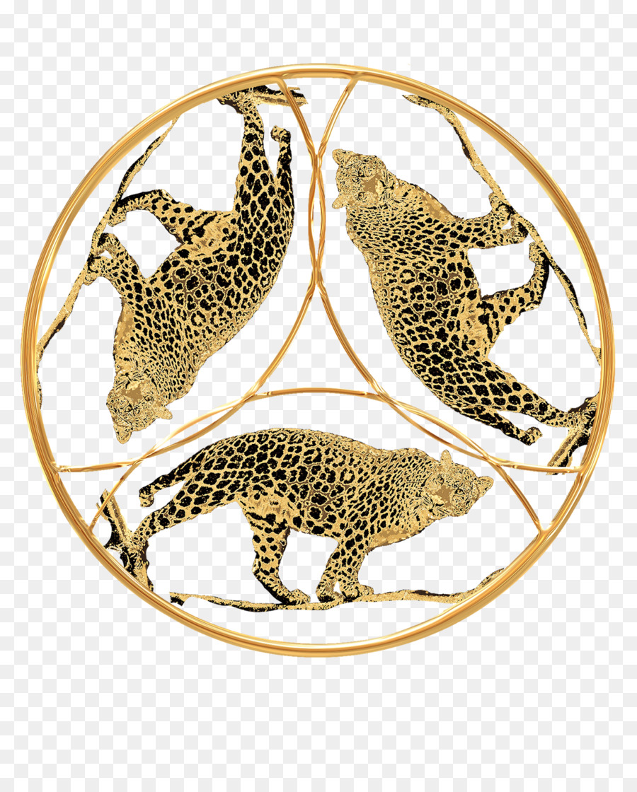 Jaguar，Sepatu Cheetah PNG