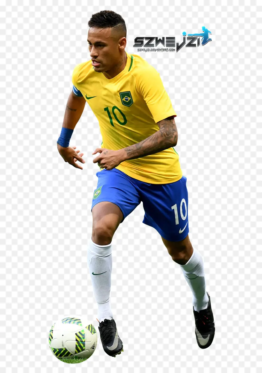 Ibrahimovic，Piala Dunia Fifa 2014 PNG