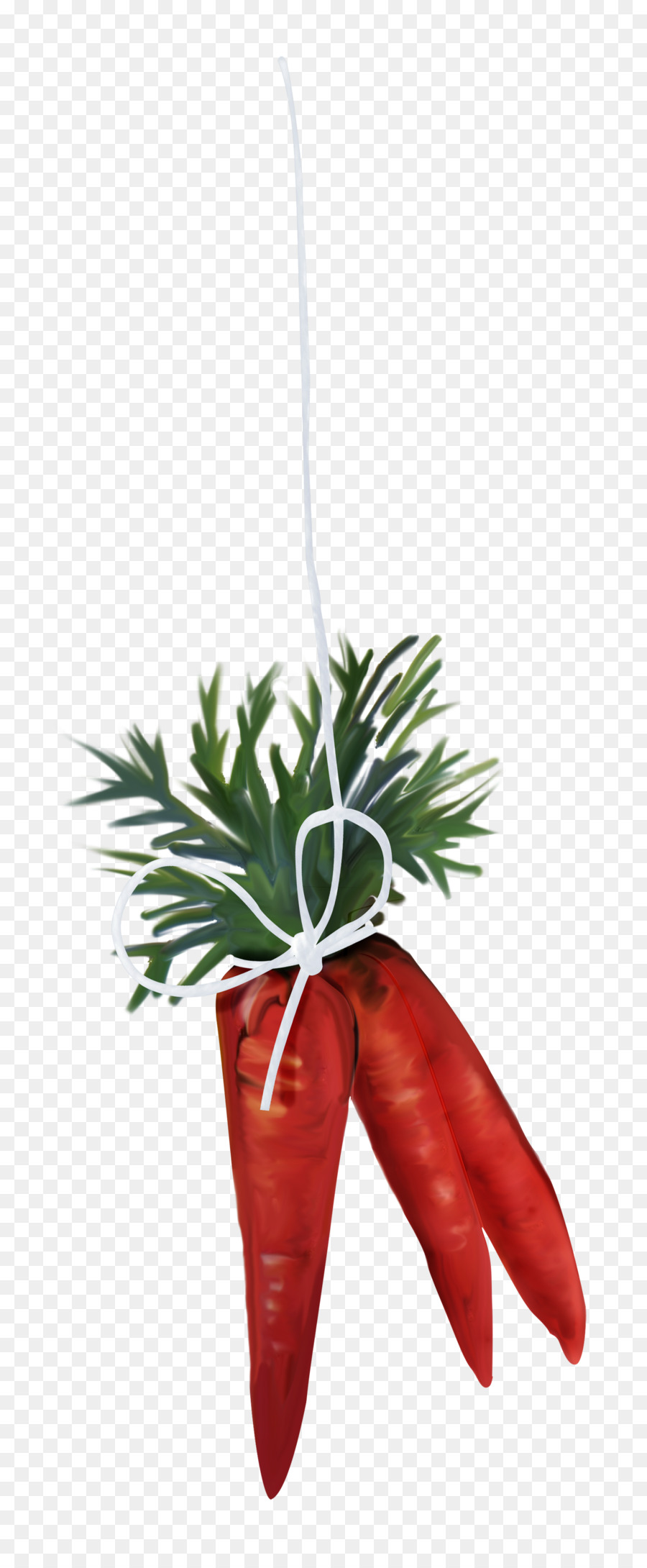 Sayuran，Wortel PNG