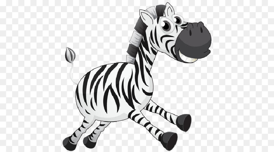 Zebra，Hitam Dan Putih PNG