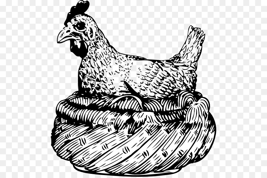 Ayam，Gambar PNG