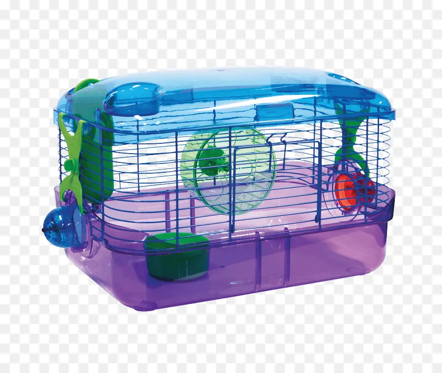 Kandang Hamster，Hamster PNG