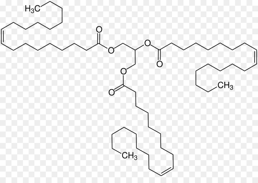 Triolein，Asam Oleat PNG