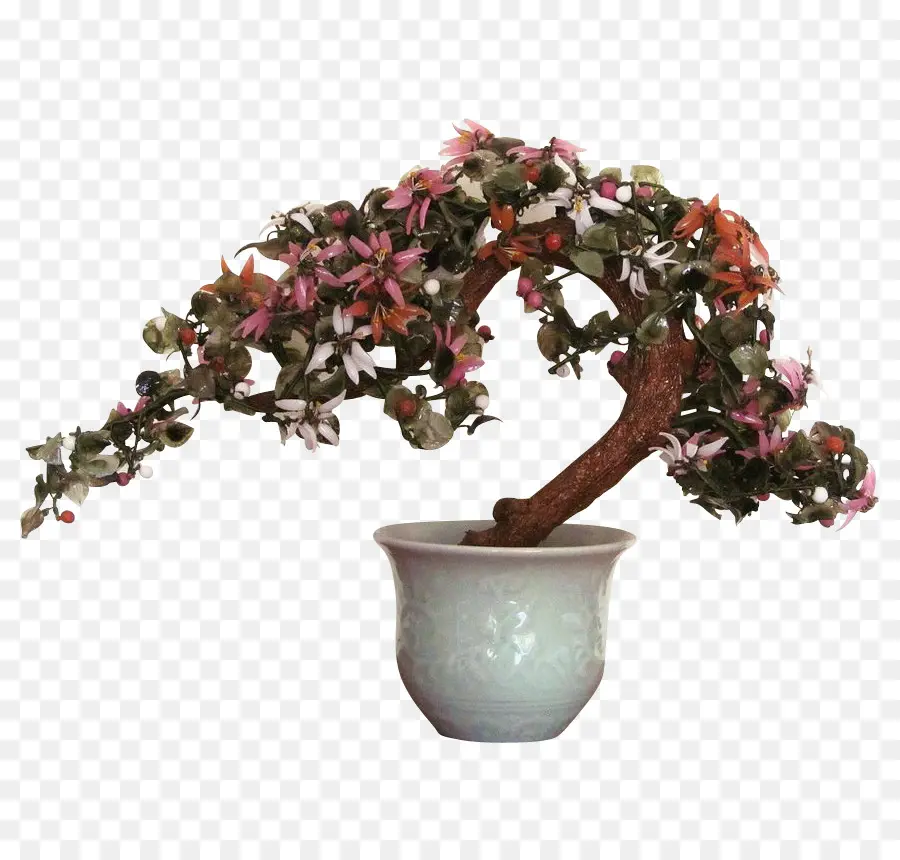 Pohon Bonsai，Tanaman Dalam Pot PNG