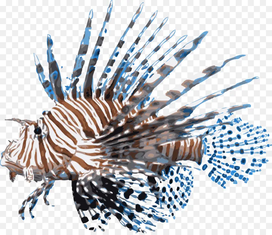 Lionfish Merah，Ikan PNG