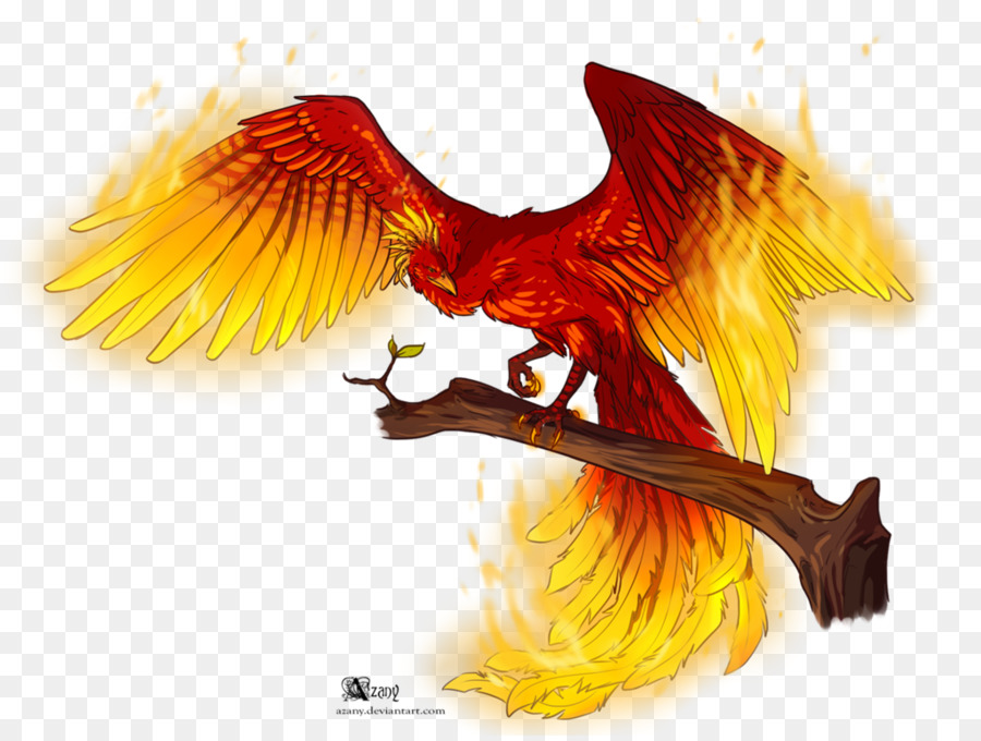  Gambar Burung Phoenix  Api Gambar  Burung 