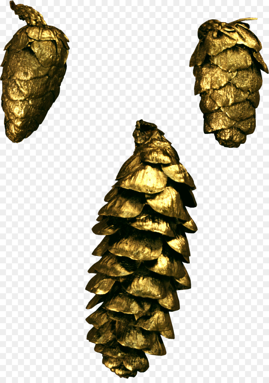 Buah Pinus Emas，Kerucut PNG