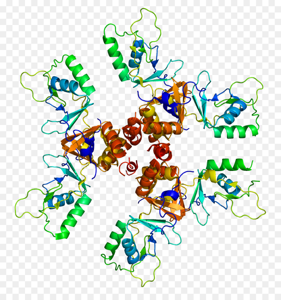 Struktur Protein，Molekul PNG