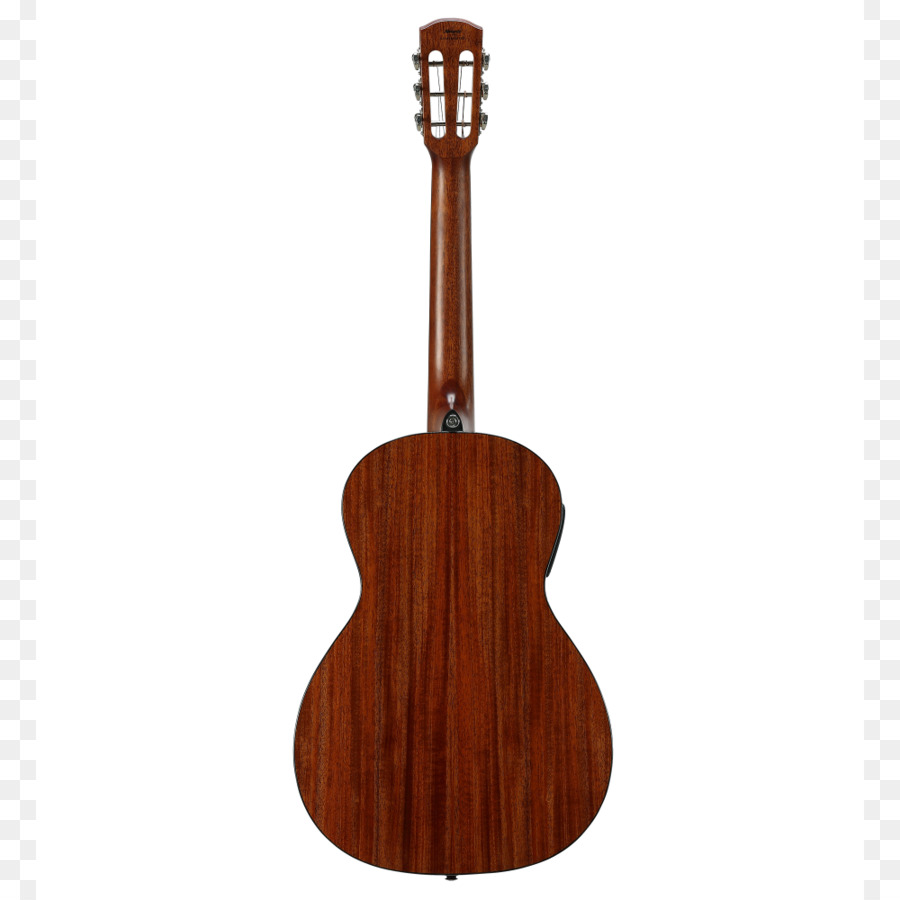 Ukulele，Gitar PNG