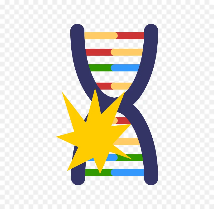 Dna，Genetika PNG