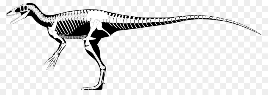 Kerangka Dinosaurus，Fosil PNG