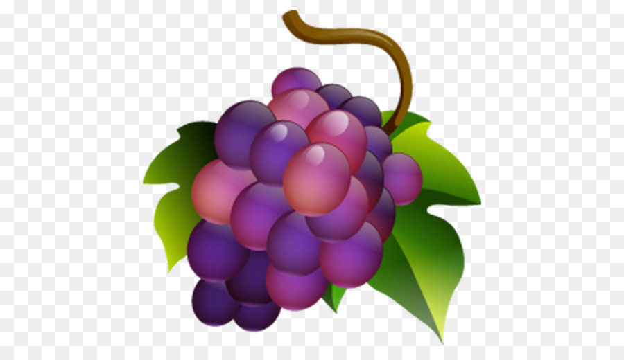 Anggur Muscadine，Umum Anggur Anggur PNG