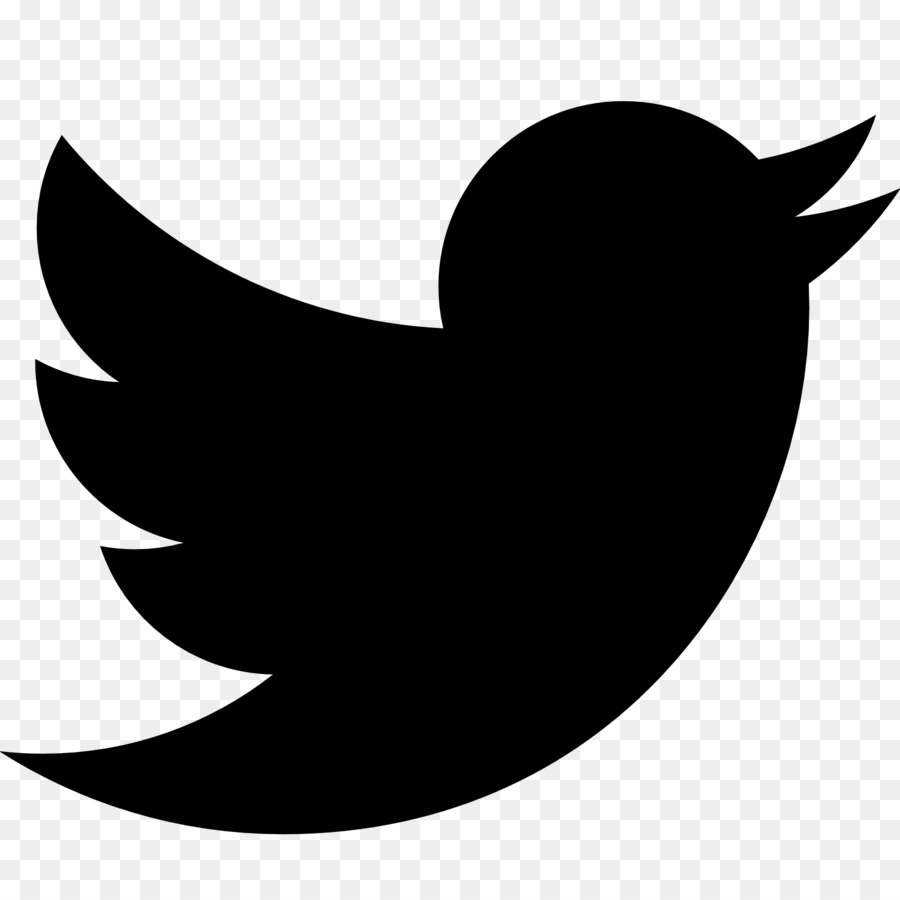 Burung Hitam，Twitter PNG