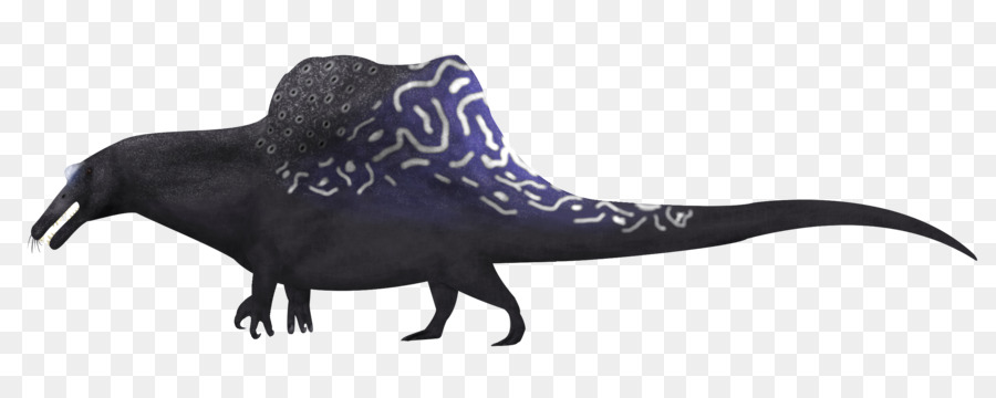 Spinosaurus，Dinosaurus PNG