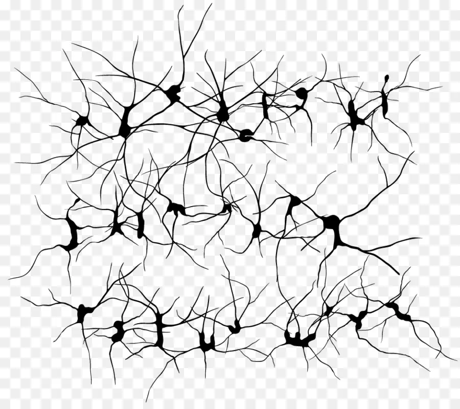 Neuron，Otak PNG