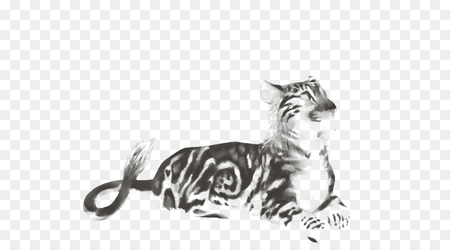 Felidae，Kucing PNG